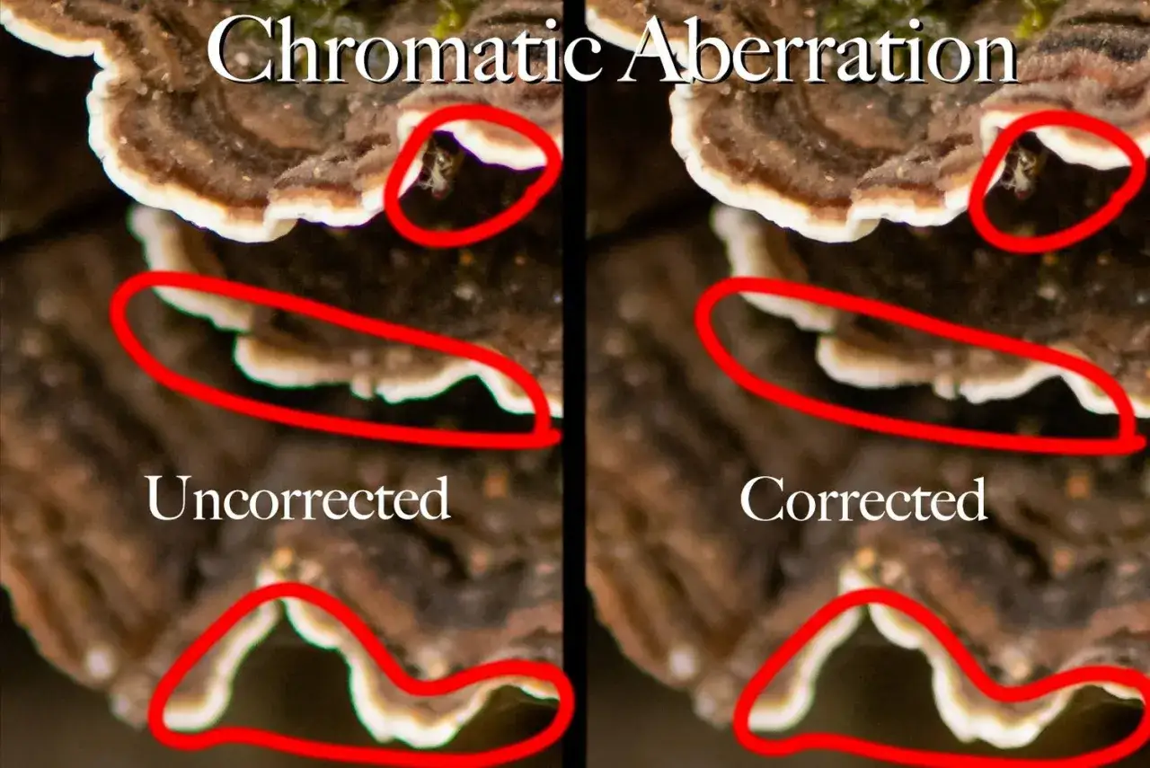 Side-by-side comparison showing chromatic aberration in an uncorrected image vs. a corrected one, with red circles highlighting the color fringing.